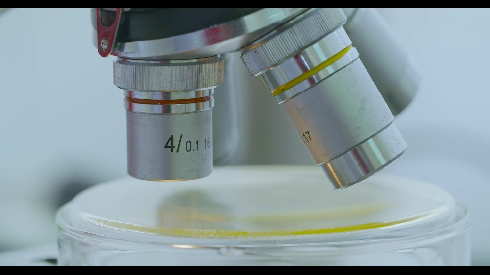 細(xì)胞培養(yǎng)實(shí)驗室儀器配置